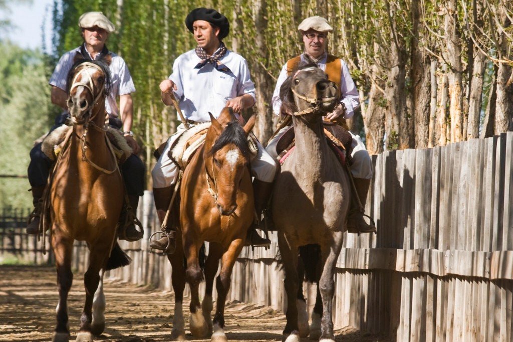 Experiences to Have in South America