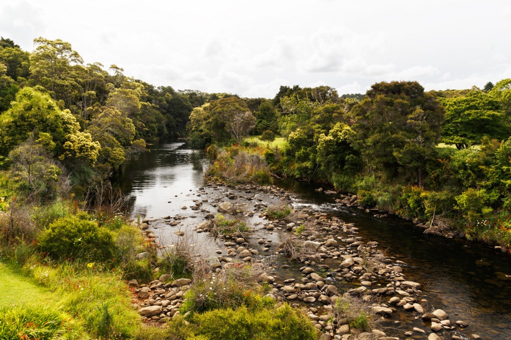 Kerikeri Vineyards