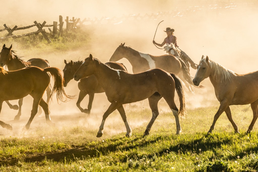 Adventurous Families