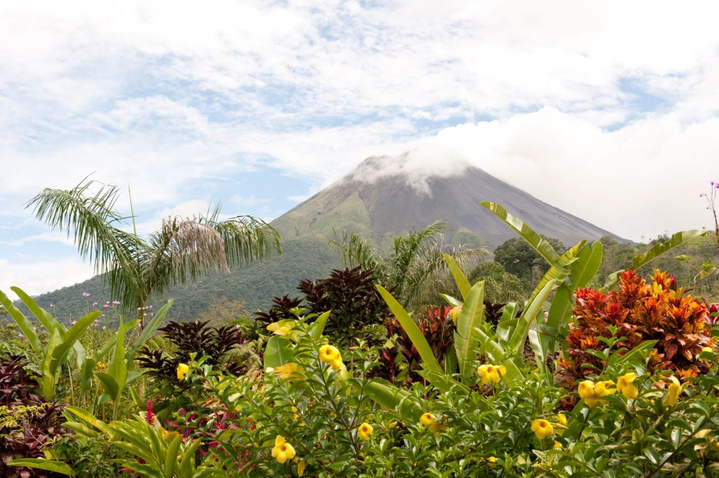 Wildlife in Costa Rica