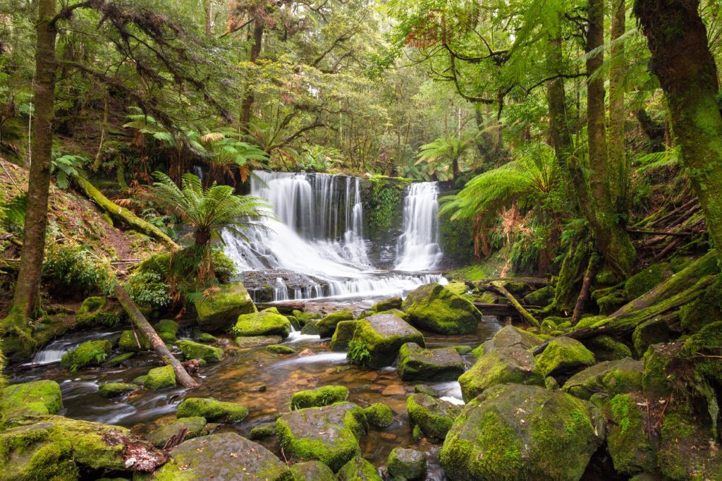 Tasmanian Wilderness