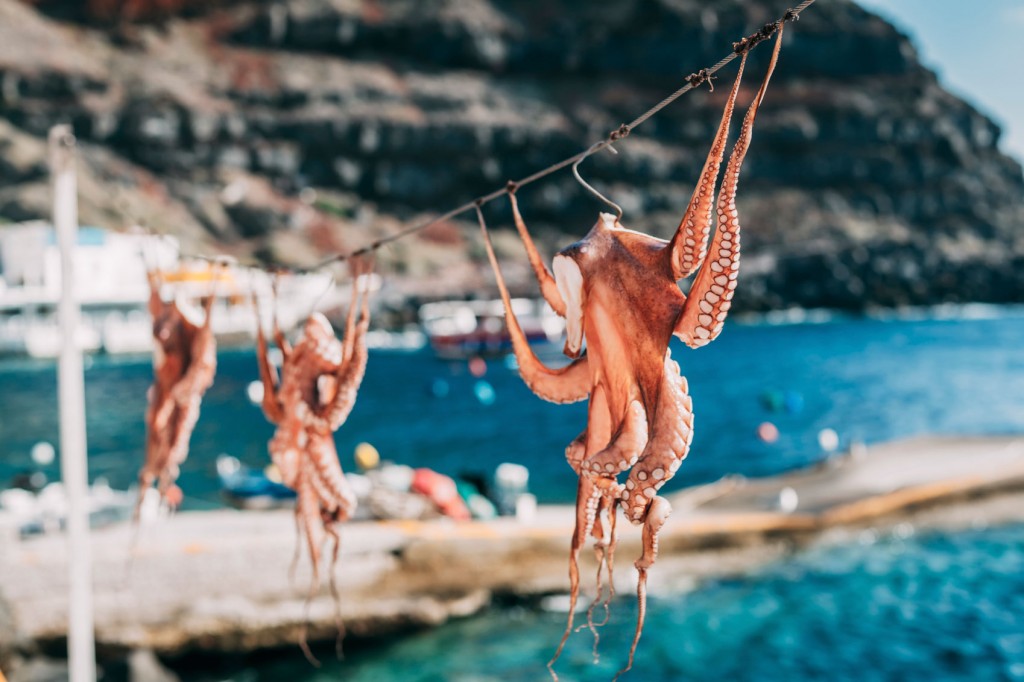 Santorini's Greek Cuisine