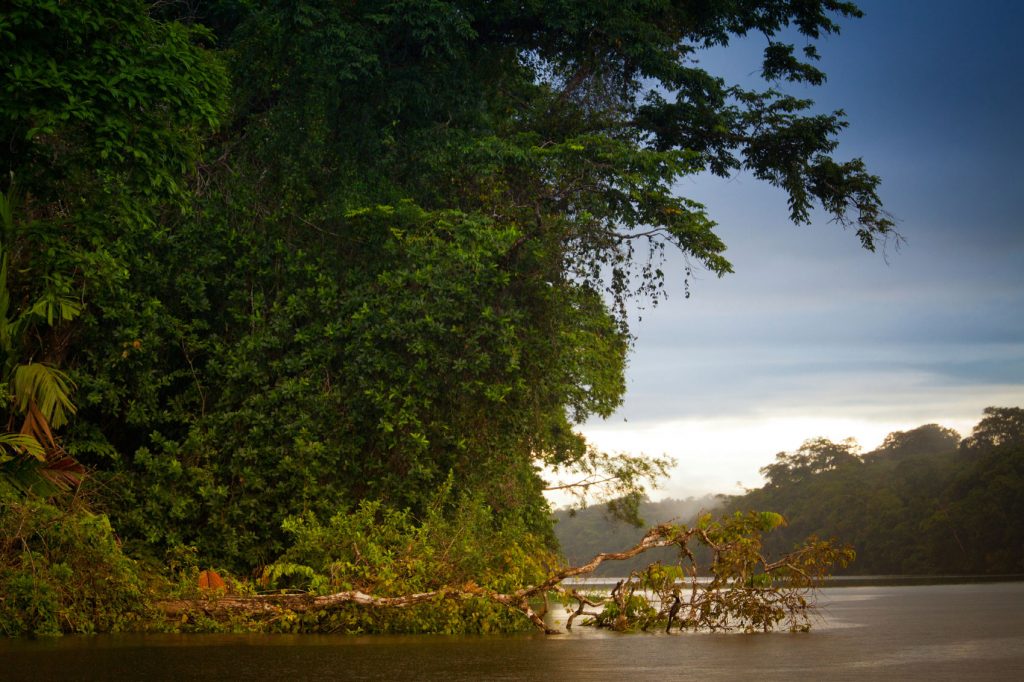 Wildlife in Costa Rica