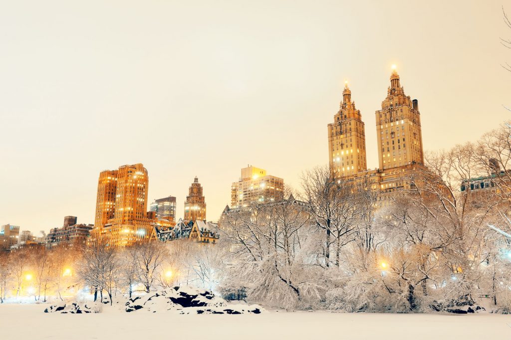 New York in the Festive Season