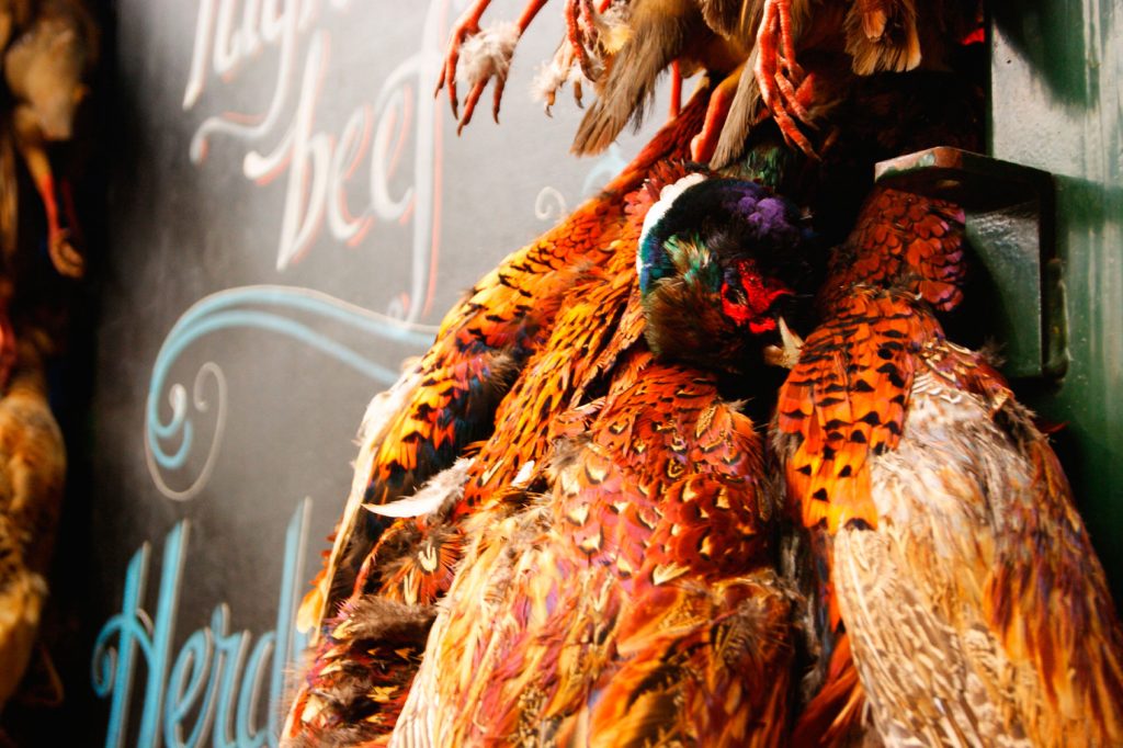 Seasonal British Cuisine