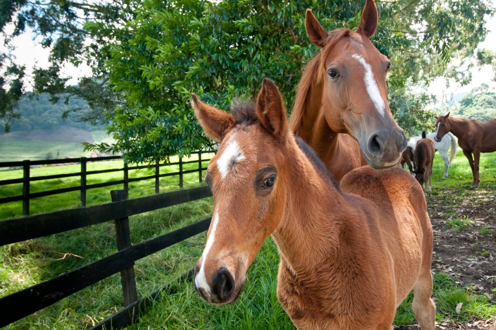 Money Can't Buy Experiences