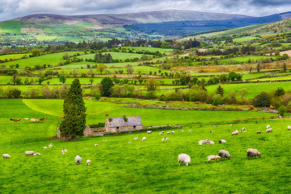 Money Can't Buy Experiences