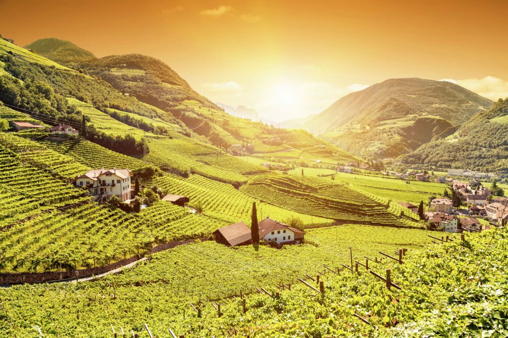 Italy's Wine Regions