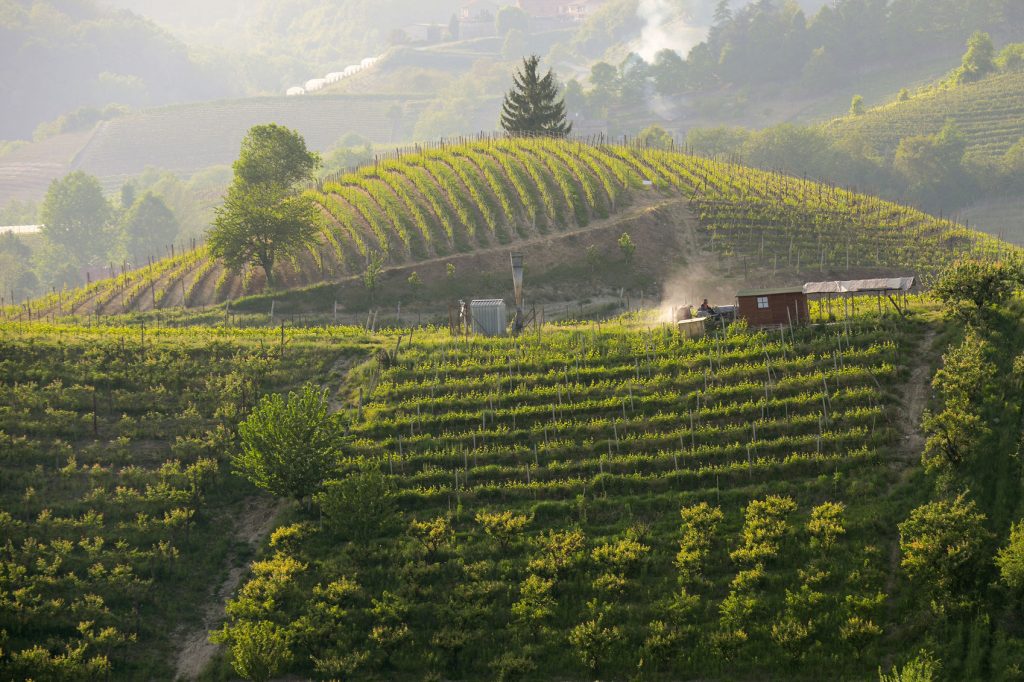 Italy's Wine Regions
