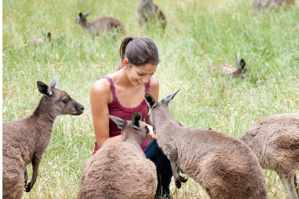 Things to do on Kangaroo Island