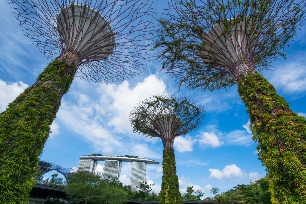 Green Spaces in Singapore