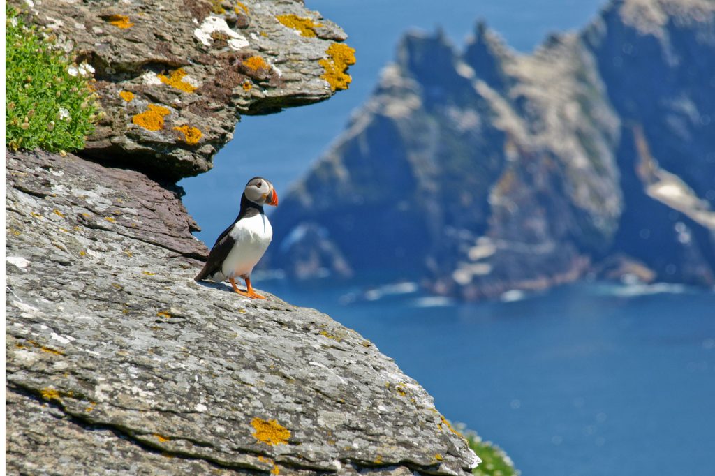 The Wild Atlantic Way