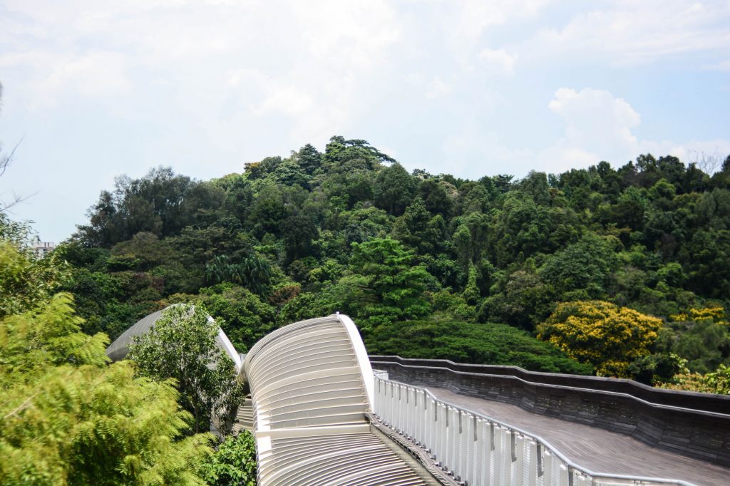 Green Spaces in Singapore