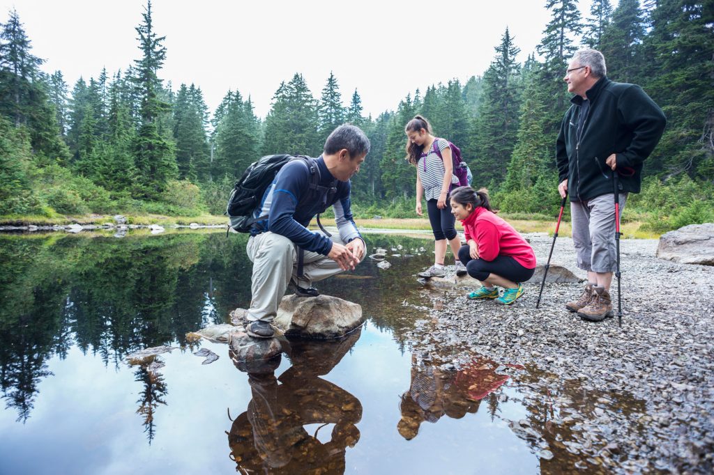 Multi-generational Travel