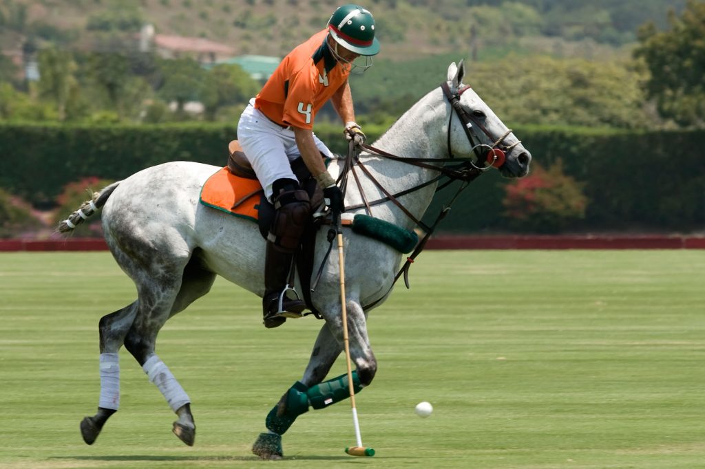 Polo in India