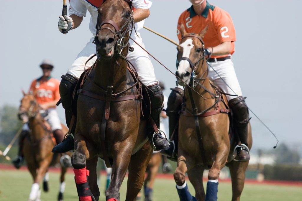 Polo in India