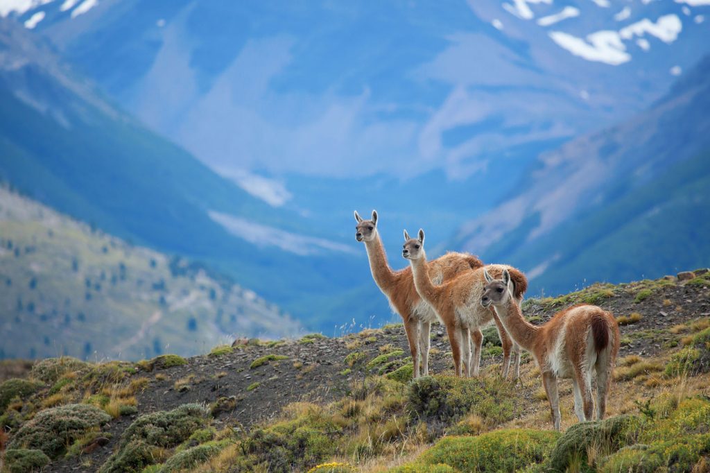 Inspirational Travel Videos