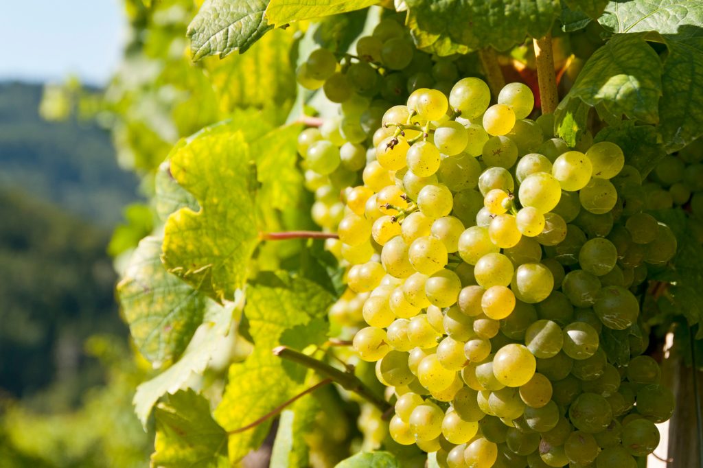 UNESCO World Heritage Sites in Europe