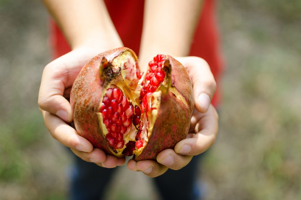 New Year's Traditions