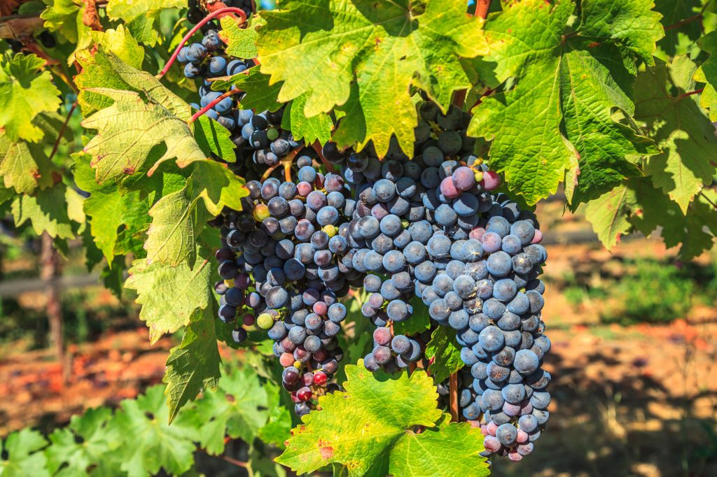 New Year's Resolutions