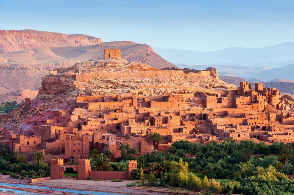 The Year of the Rooster