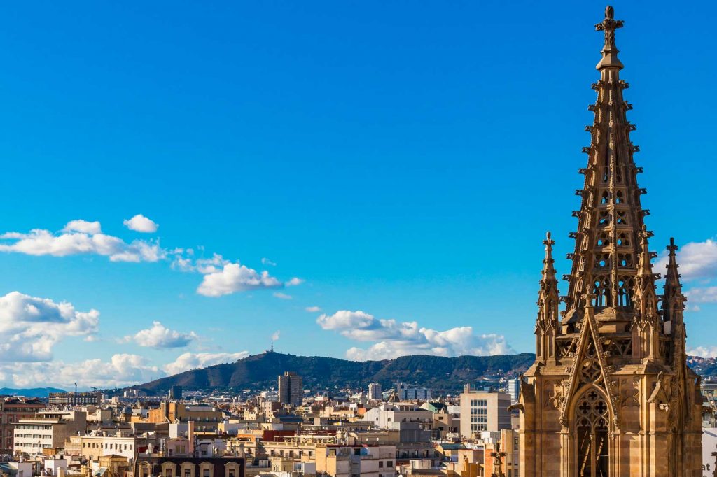 The Year of the Rooster