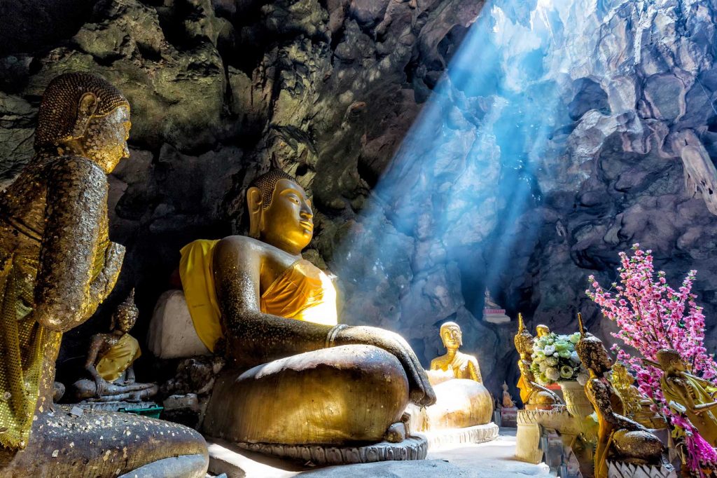 The Year of the Rooster