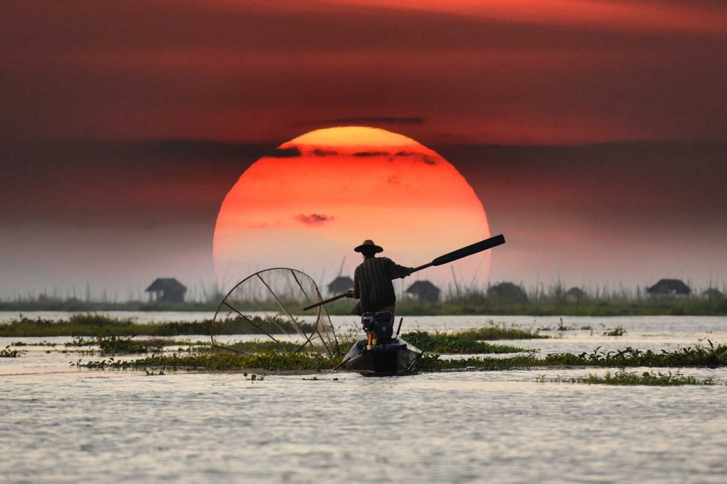 The Year of the Rooster