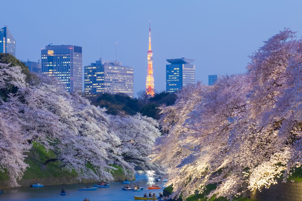 Places to Visit in February