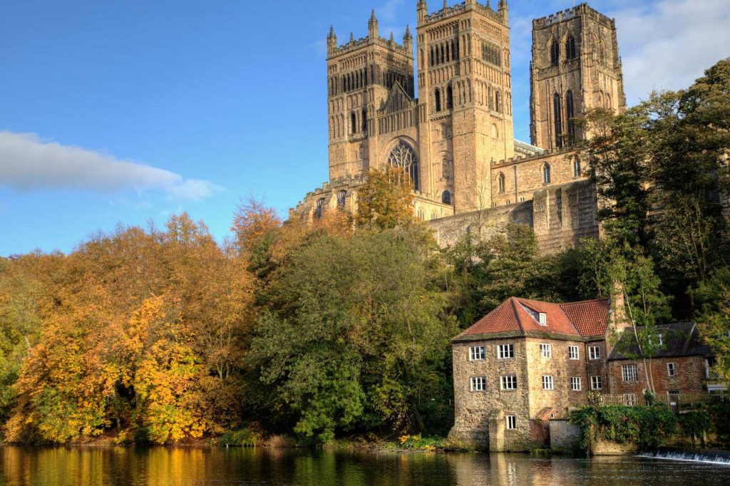 Harry Potter's World