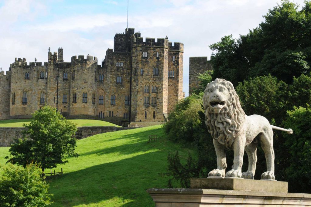 Harry Potter's World