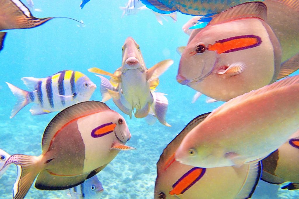 Romantic Experiences