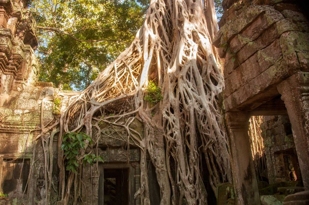 Siem Reap Temples