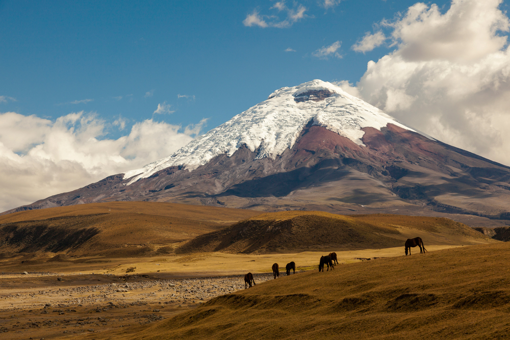 Amazing natural wonders Cotopaxi-www.istockphoto.comgbphotocotopaxi-volcano-and-wild-horses-gm469711908-61723994-PatricioHidalgoP