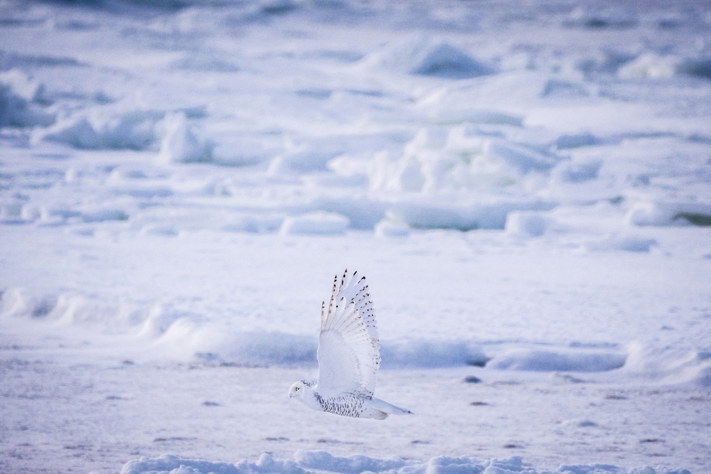 Gary Arndt 1 Travel photography tips