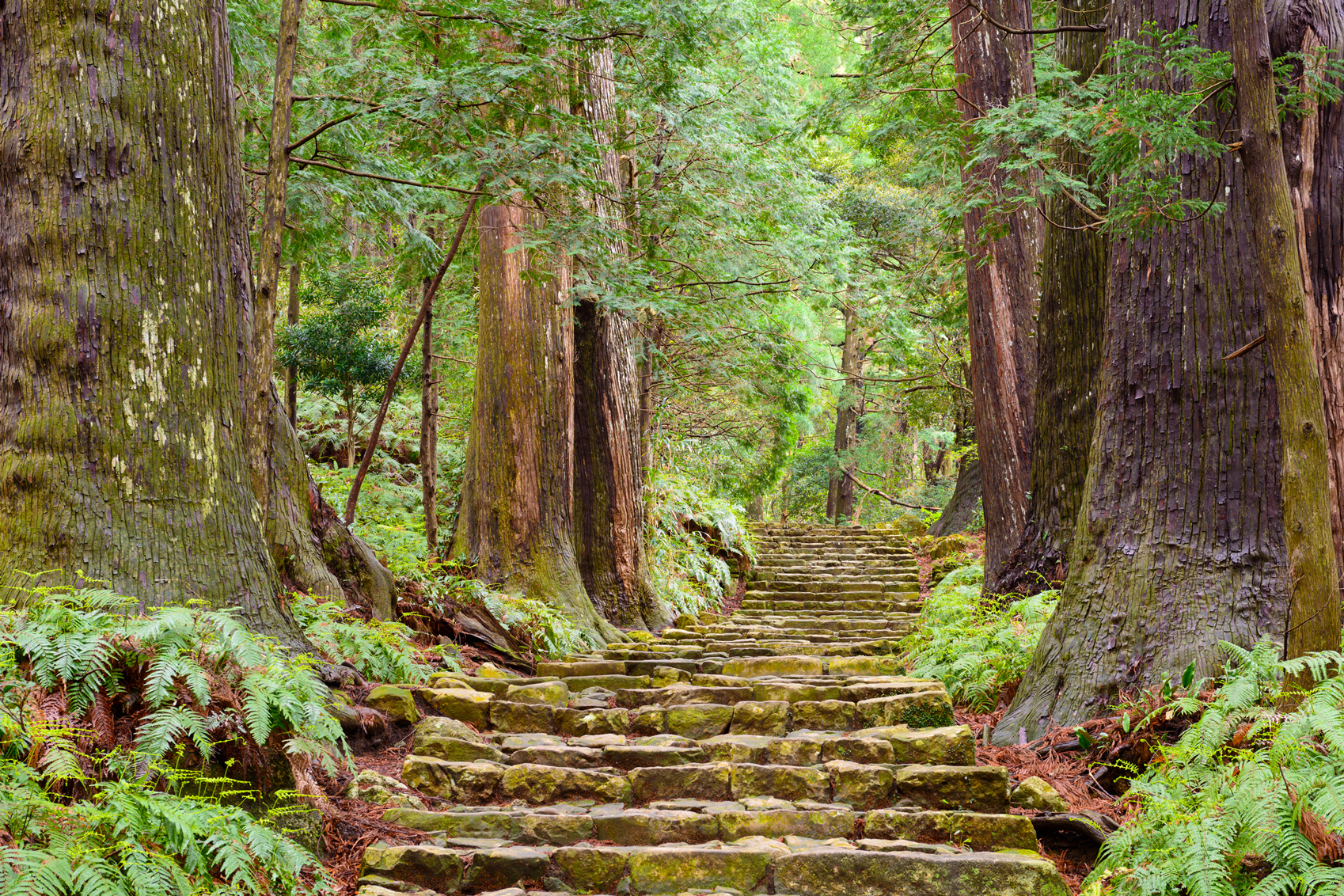 spiritual japan Nachi-www.istockphoto.comgbphotonachi-japan-gm478117594-67084005-SeanPavonePhoto