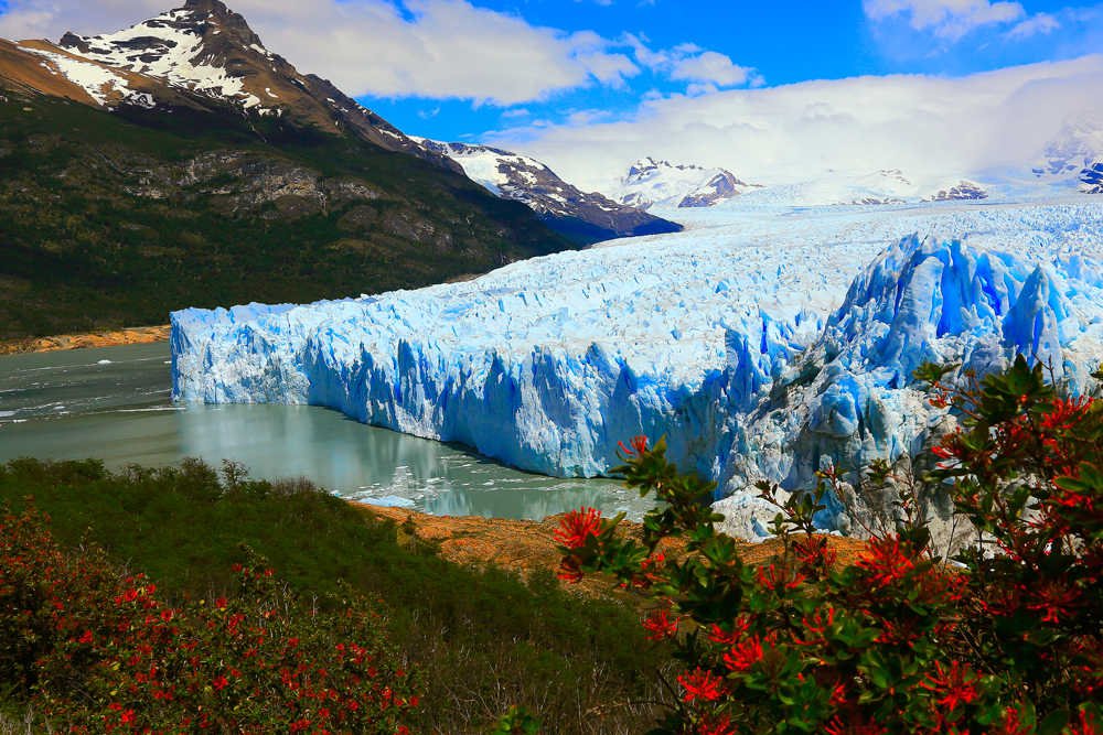 Amazing natural wonders Perito-Moreno-www.istockphoto.comgbphotoglacier-perito-moreno-spring-flowers-patagonia-argentina-el-calafate-gm525014368-92308609-agustavop