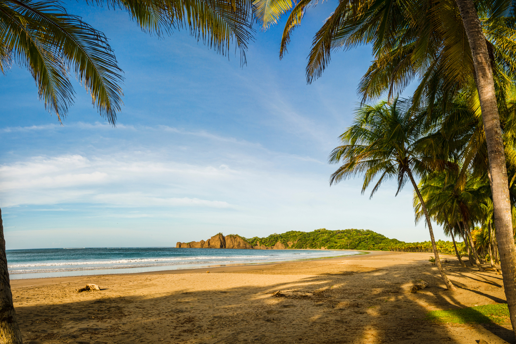 Costa Rica Playa-Carillo-www.istockphoto.comgbphotopalm-trees-along-an-empty-beach-gm492692774-76454815-OGphoto