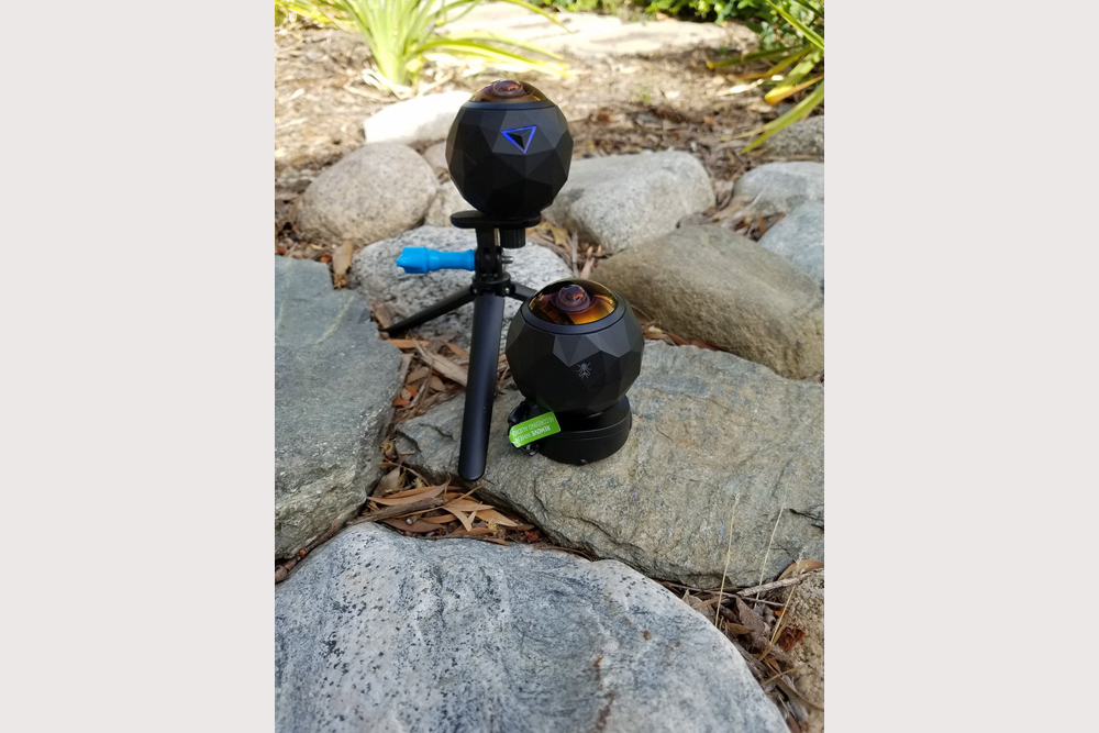 Essential travel item dette_p