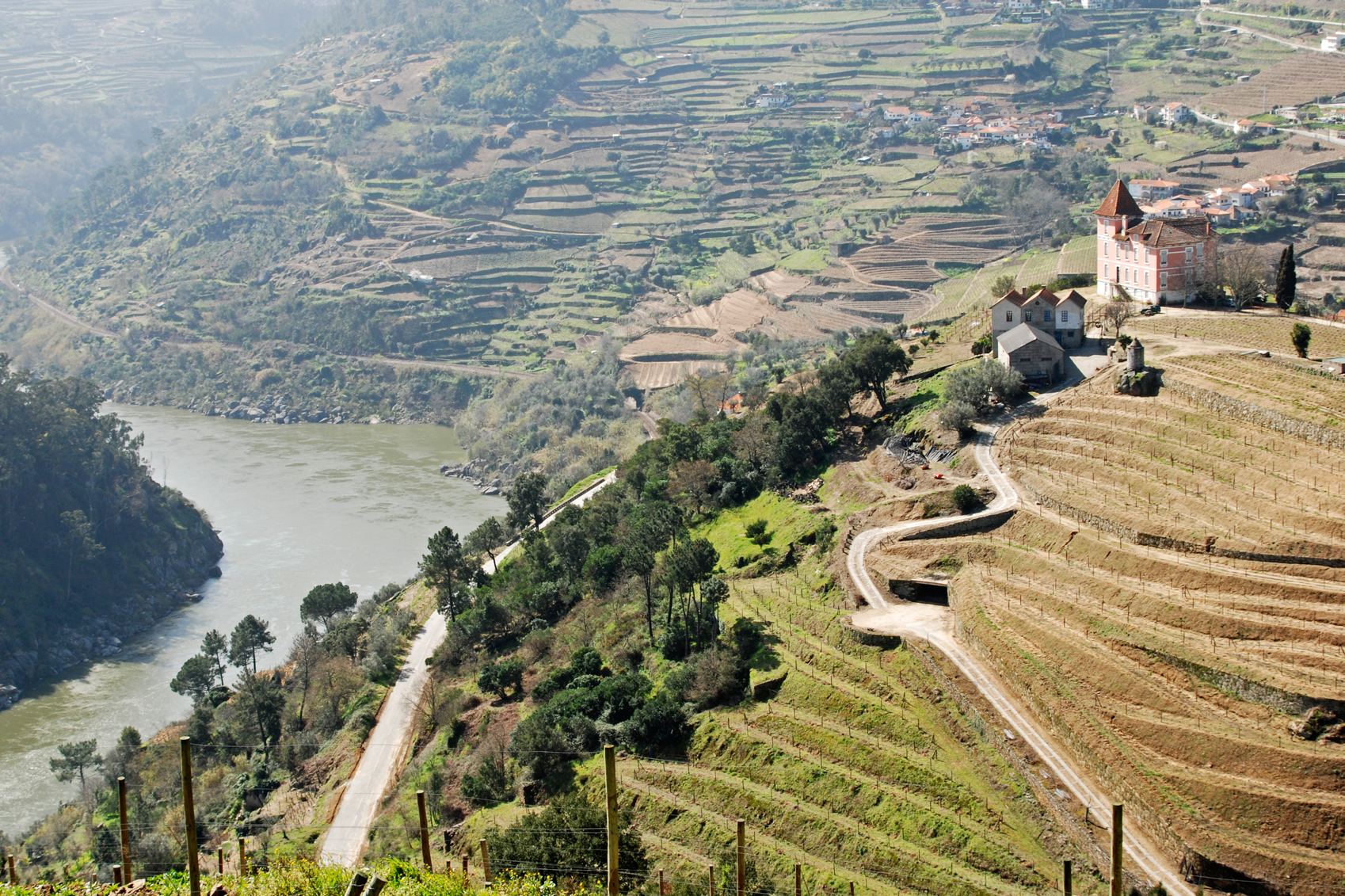 Scenic Driving Routes Douro-www.istockphoto.comgbphotowine-producing-region-of-the-douro-in-portugal-gm183794503-15749395-PhilAugusto