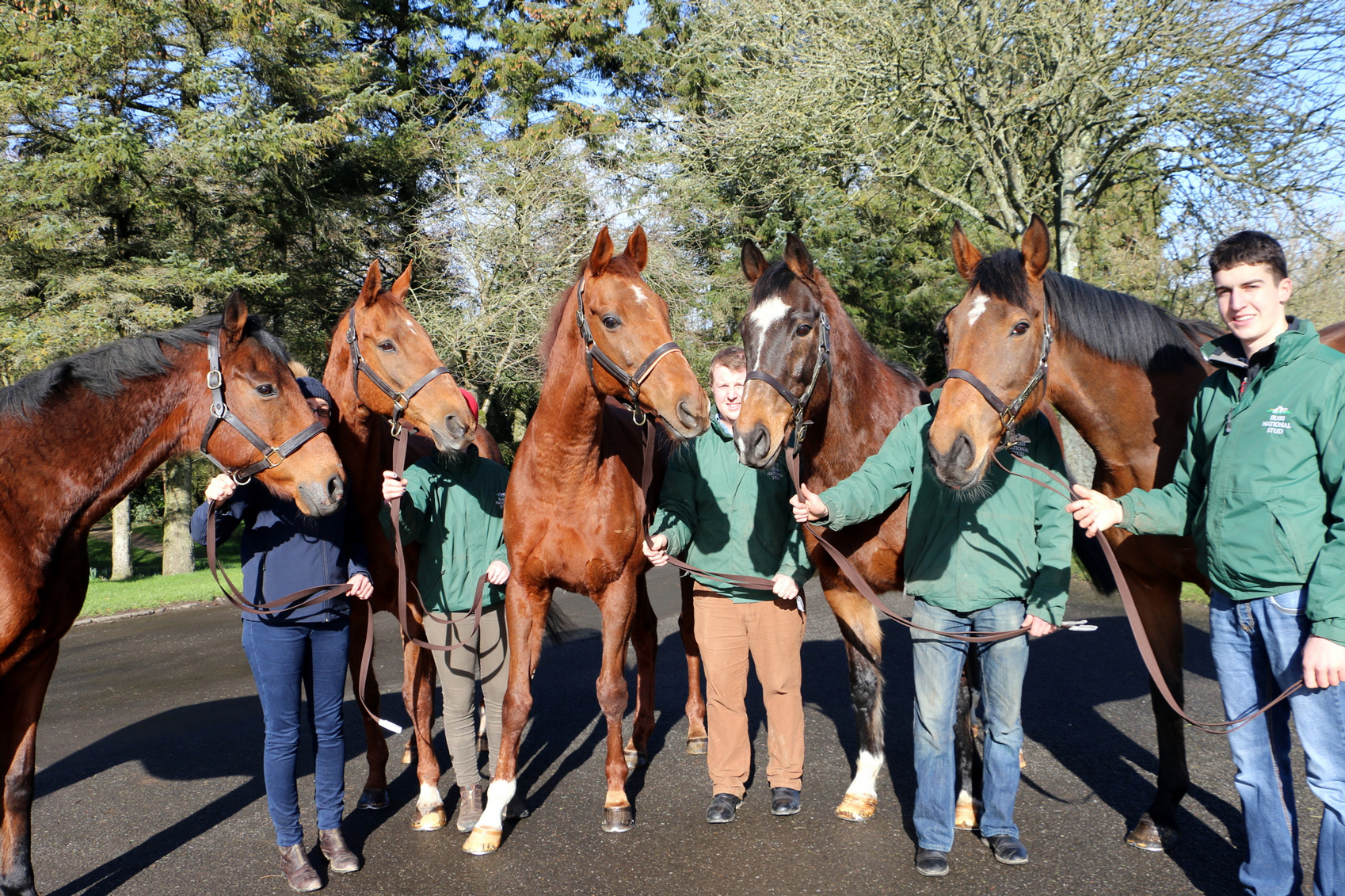 brochure Living-Legends;-L-R-Hardy-Eustace,-Beef-or-Salmon,-Rite-of-Passage,-Moscow-Flyer,-Kicking-King-CREDIT-Irish-National-Stud