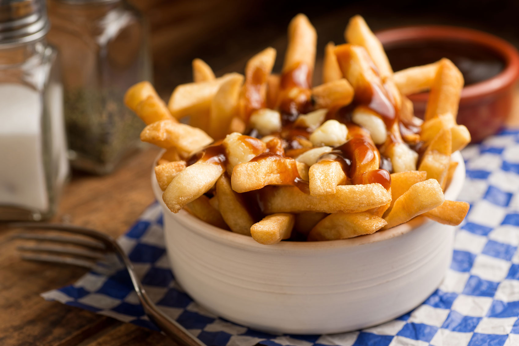 Dishes from around the world Poutine-White-Bowl-www.istockphoto.comgbphotoclose-up-photo-of-poutine-in-a-white-bowl-with-fork-gm452682759-30008216-Fudio