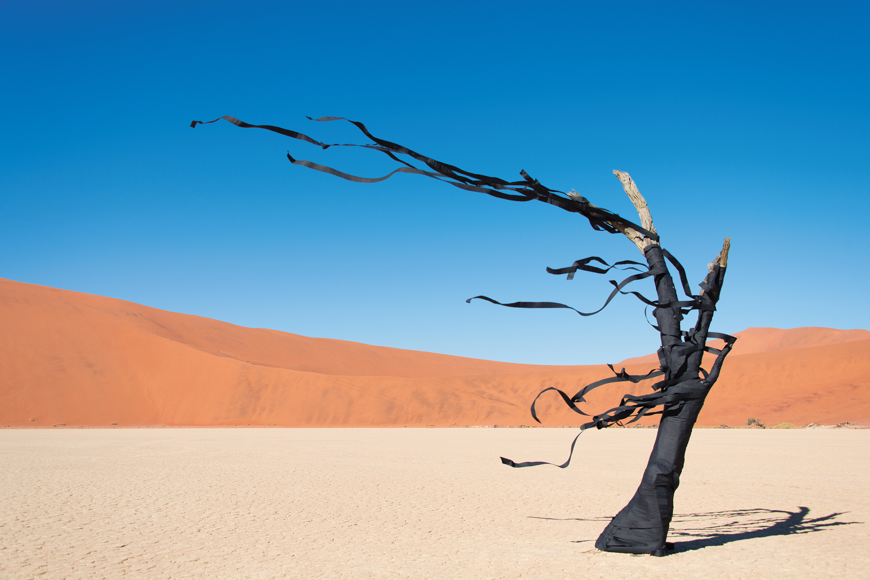 Gray Malin Dark-Beauty_p105