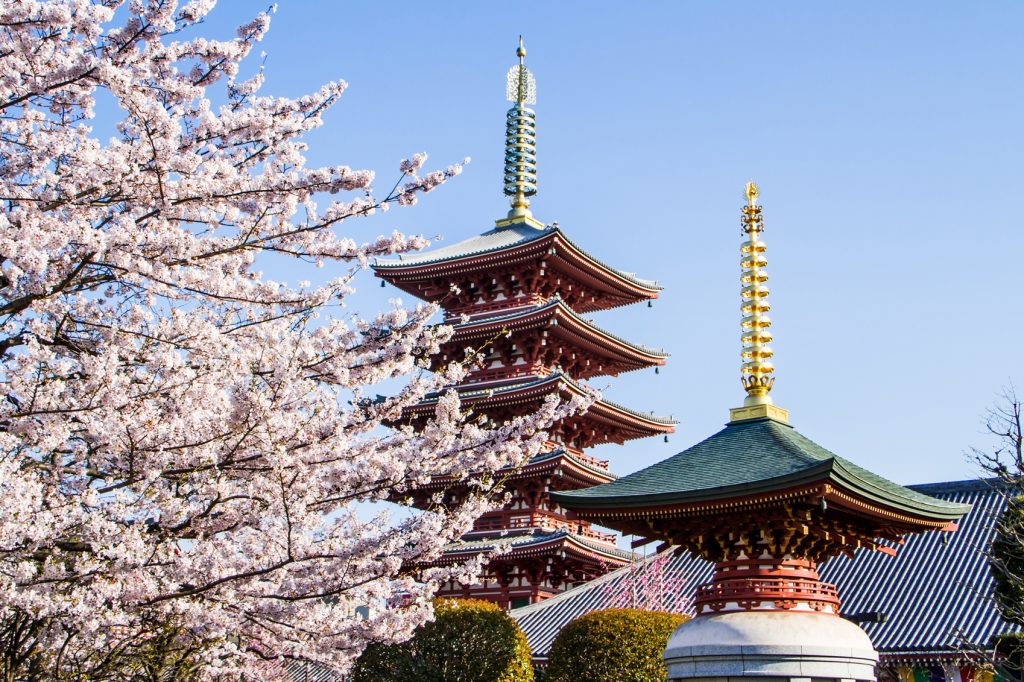 Black Friday Travel Offers Japanese-Pagoda-www.istockphoto.com_gb_photo_japanese-pagoda-gm483098628-70423863-idmanjoe