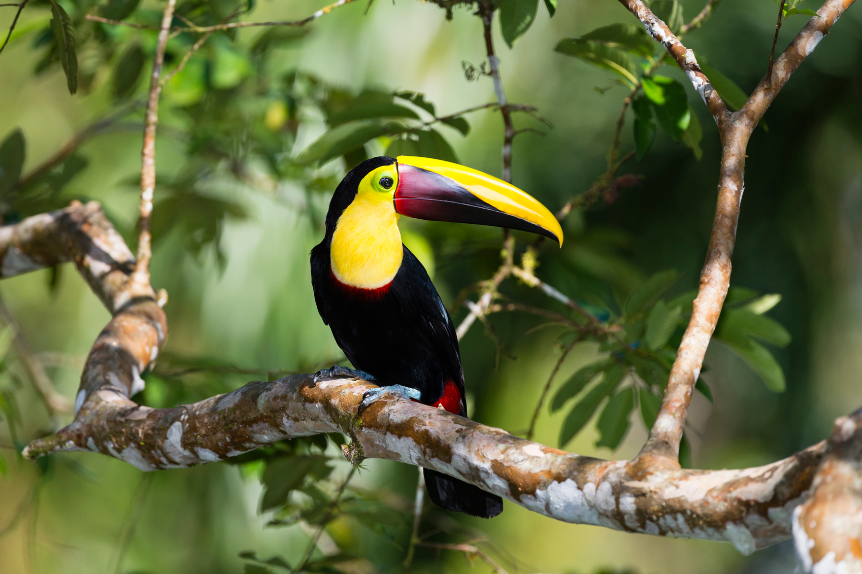 Wildlife Destinations for Nature Lovers