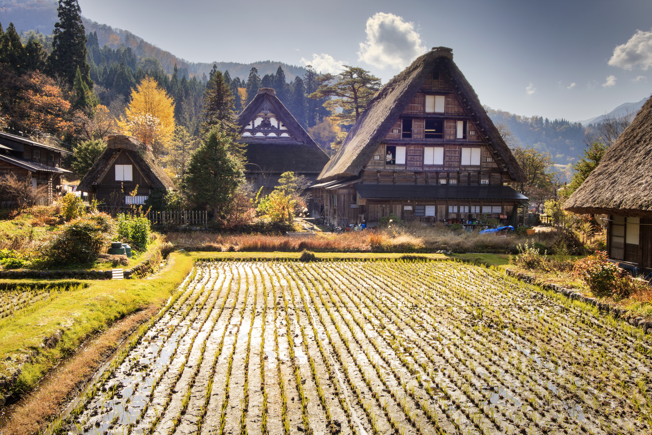 Beautiful Japanese landscapes Traditional and Historical Japanese village Ogimachi - Shirakawa