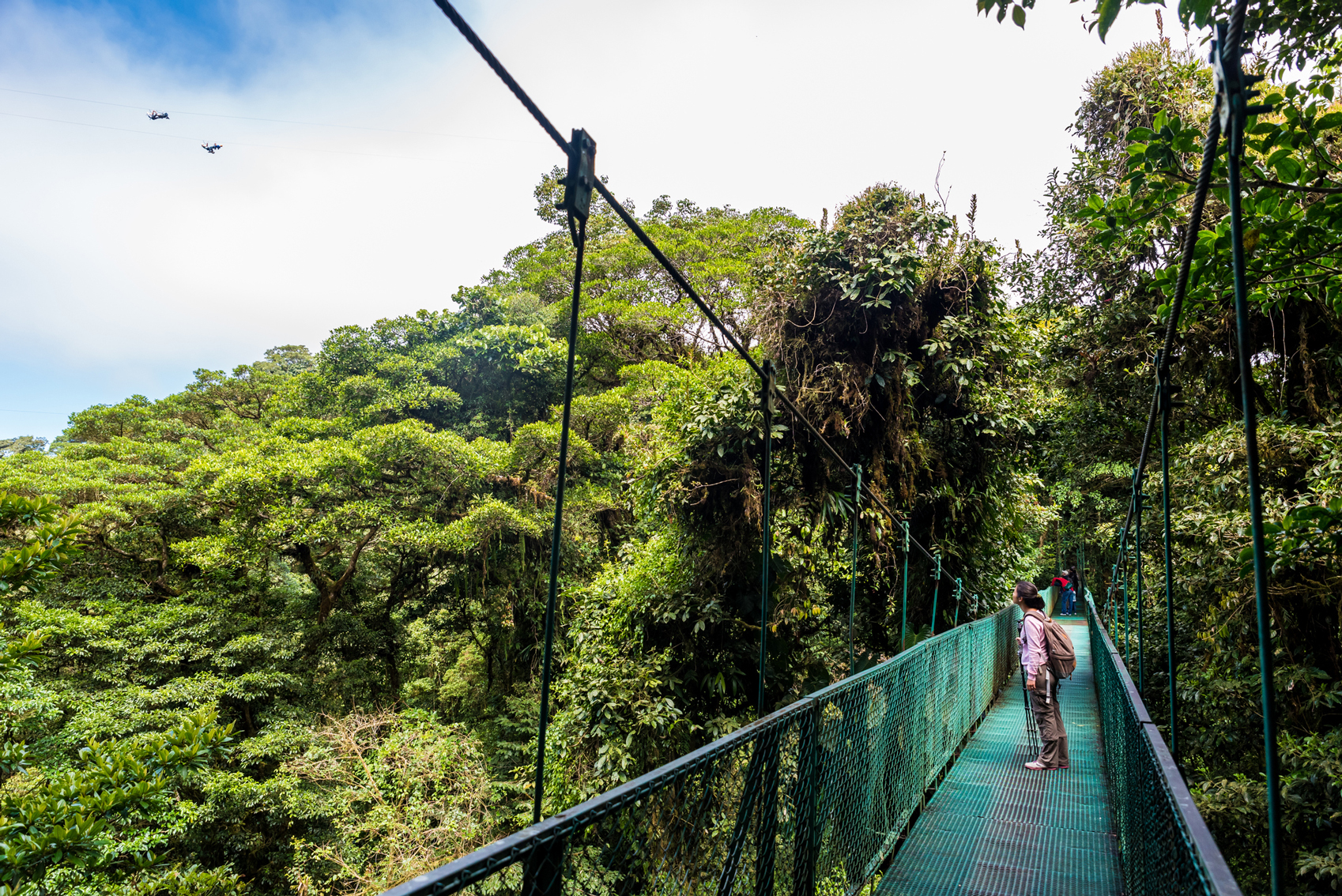 Family travel destinations Girl-walking-on-hanging-bridge-in-cloudforest-www.istockphoto.comgbphotogirl-walking-on-hanging-bridge-in-cloudforest-monteverde-gm639577840-115356767-Simon-Dannhauer