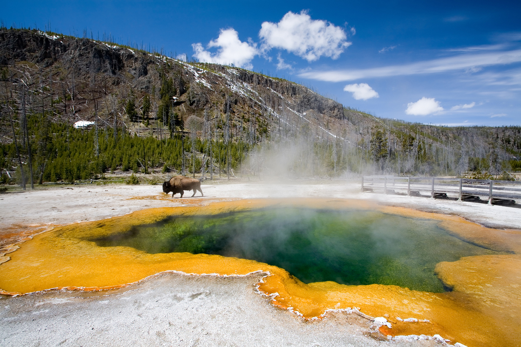 America's National Parks Yellowstone-www.istockphoto.comgbphotoyellowstone-emerald-pool-gm140461459-3361095-alptraum
