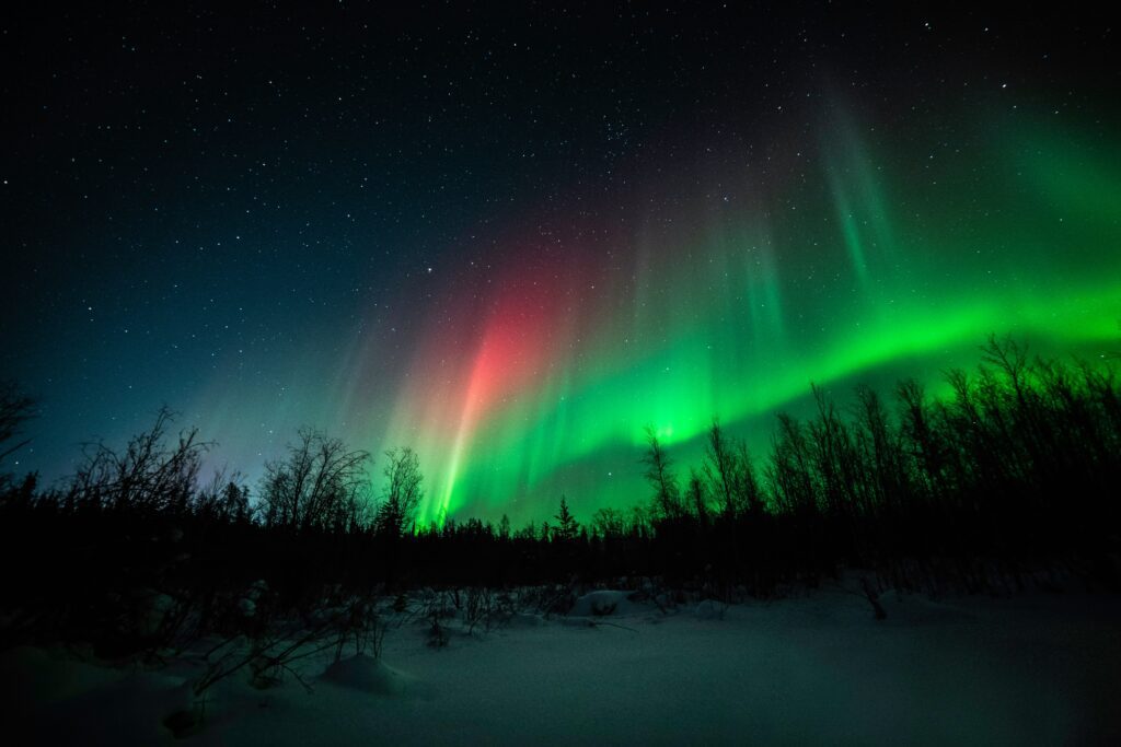northern lights over forest in finland