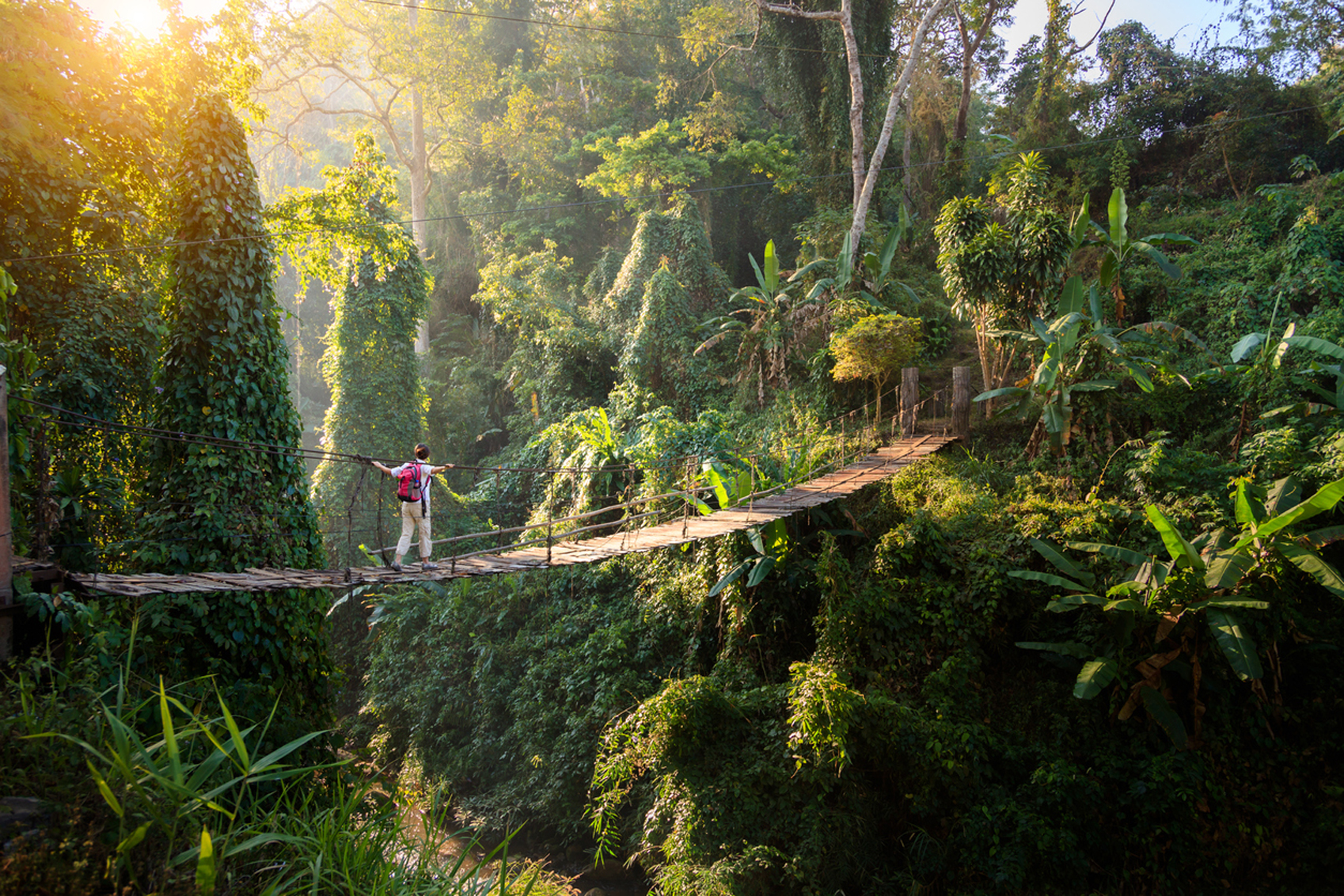 Benefits of Solo Travel backpacker-rainforest-www.istockphoto.comgbphotobackpacker-on-suspension-bridge-in-rainforest-gm652735376-118515885-FredFroese